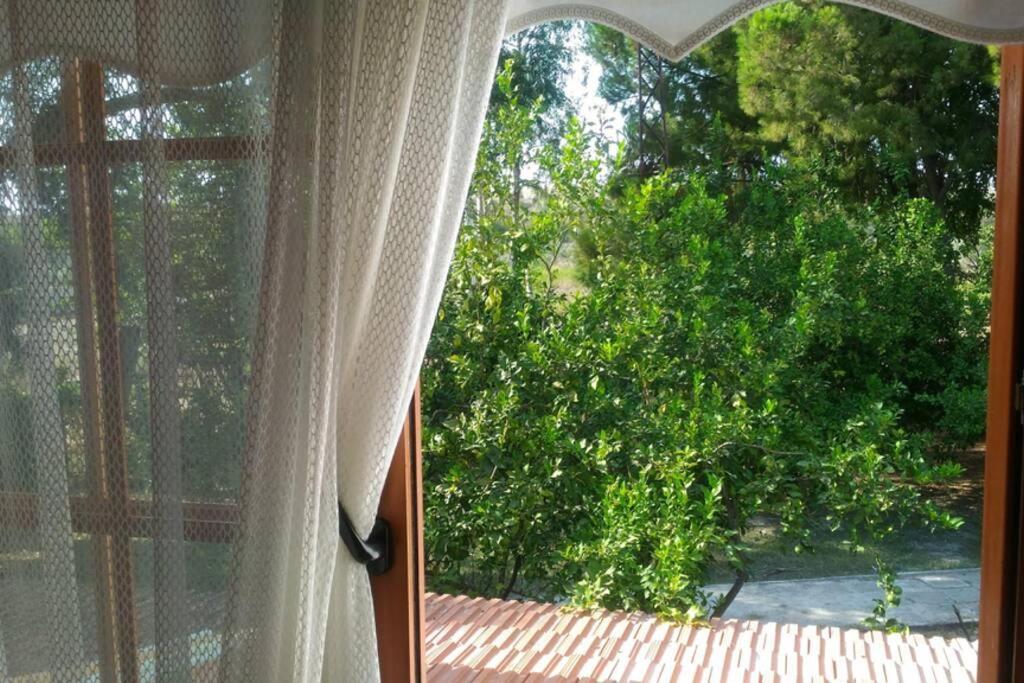 Holiday home Beyazit Side