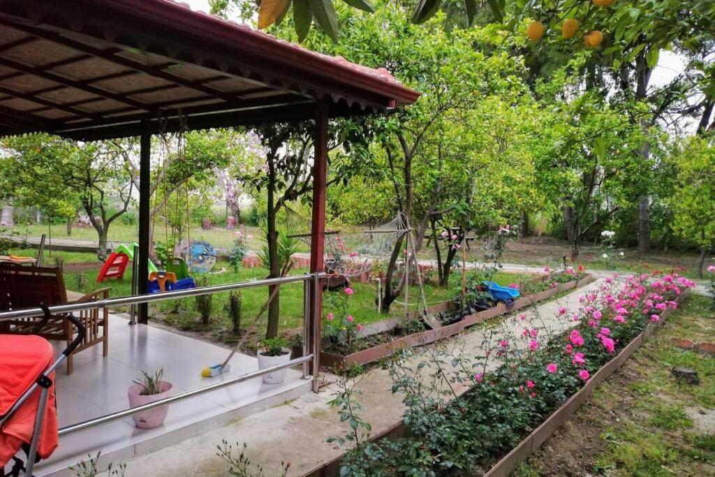 Beyazit Holiday home *