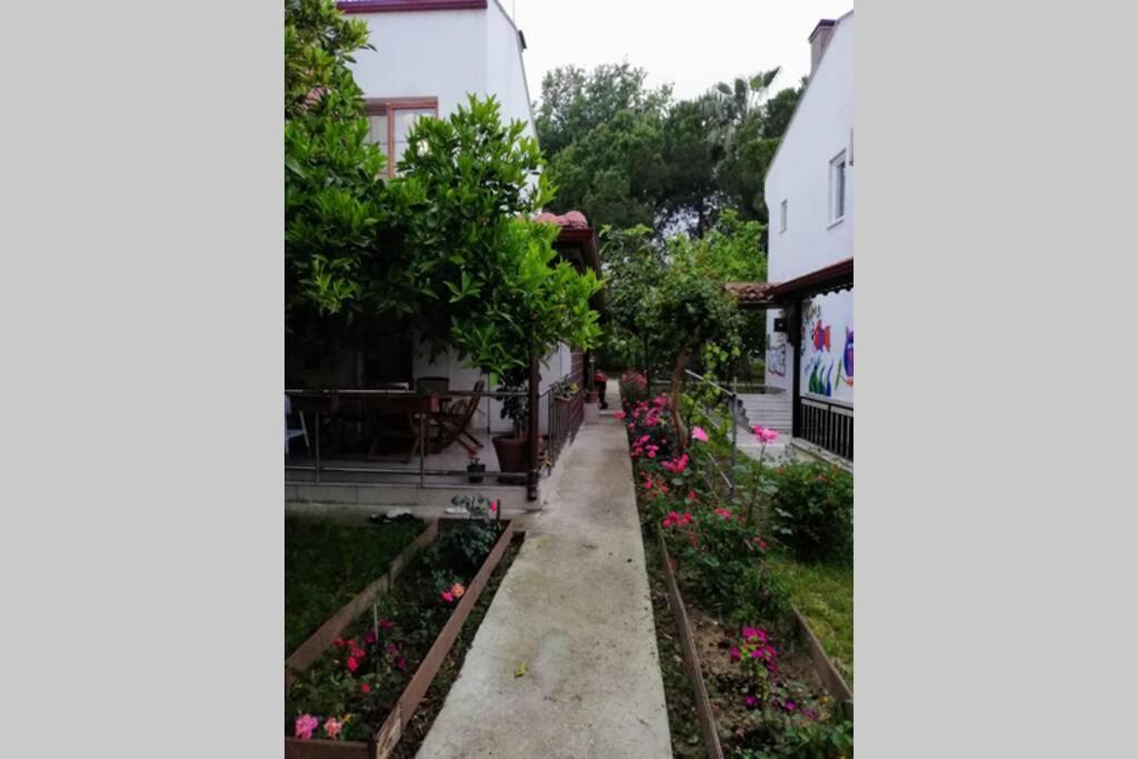 Holiday home Beyazit