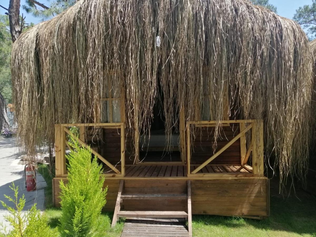 Pine & Luxury Concept * Oludeniz