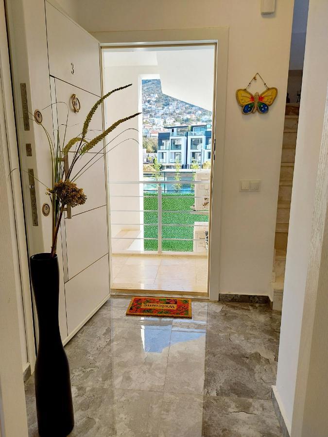 Apartment Penthouse Duplex 