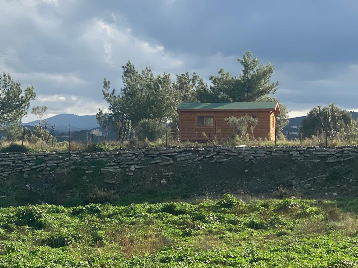 Holiday home Nefes 3