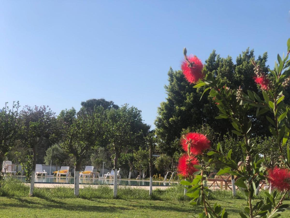 Palme Hotel Dalyan