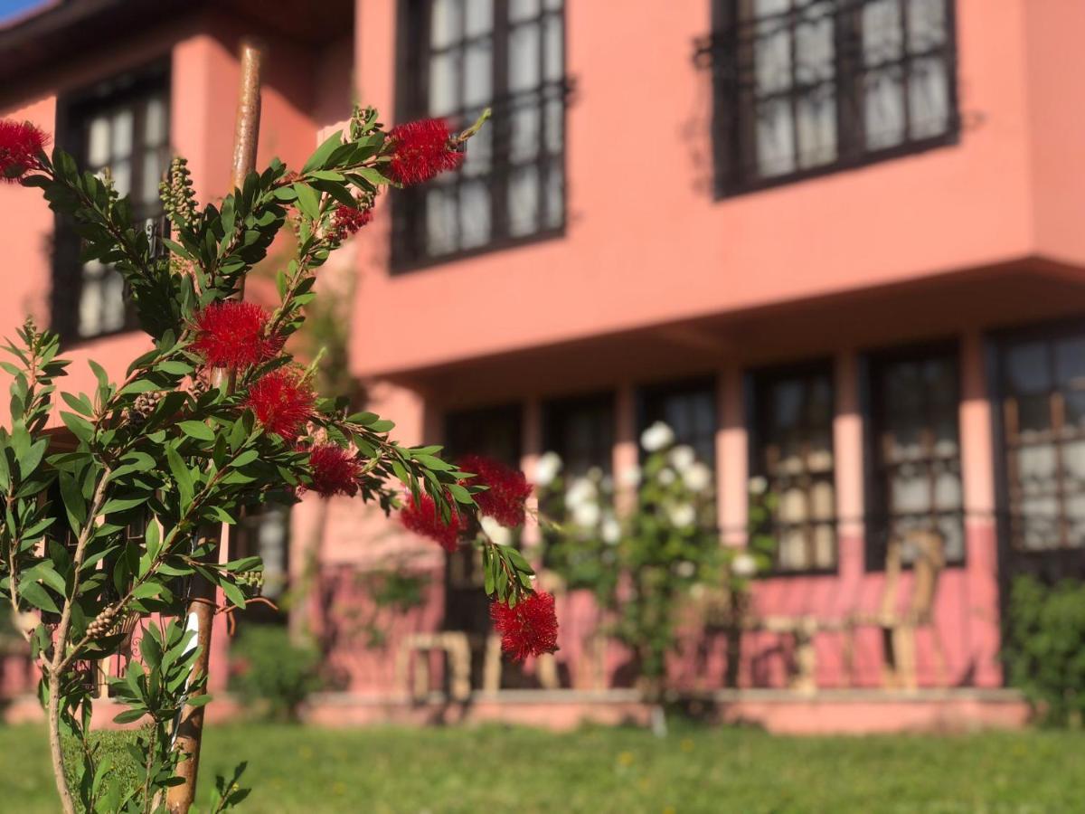 Palme Hotel Dalyan