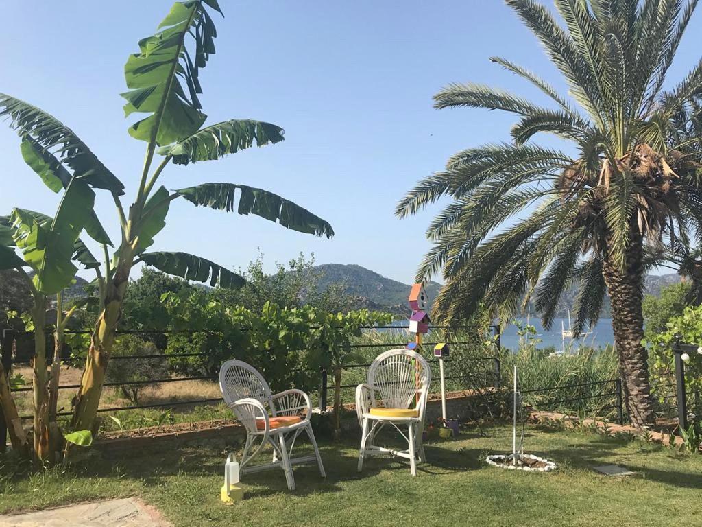 Gala 3*