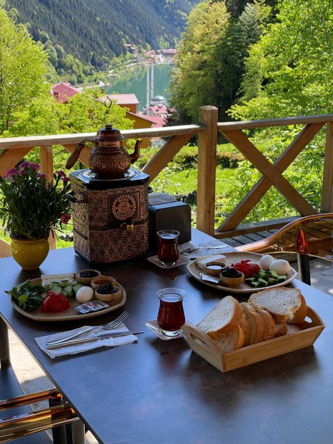Apartment Oezen Uzungol