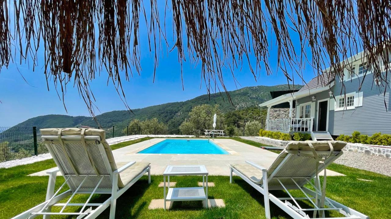 The Box House & Charming Private Tiny House & Pool Villa