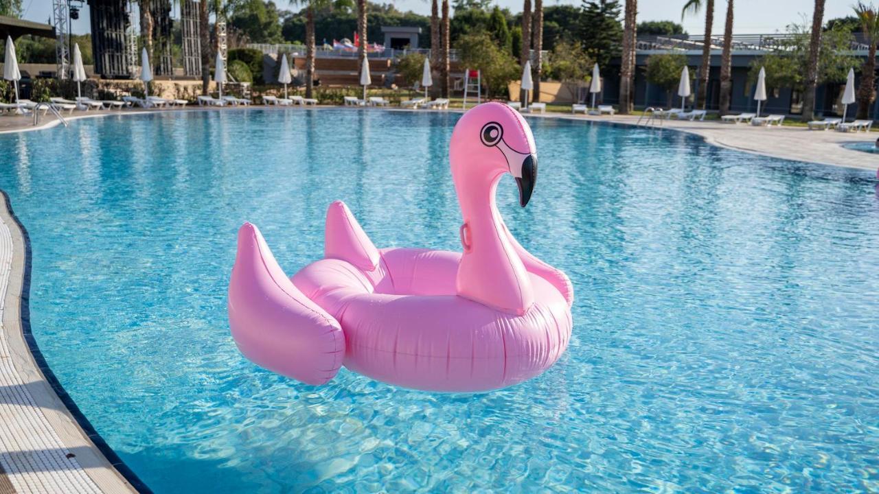 Amon - Adult Only Belek