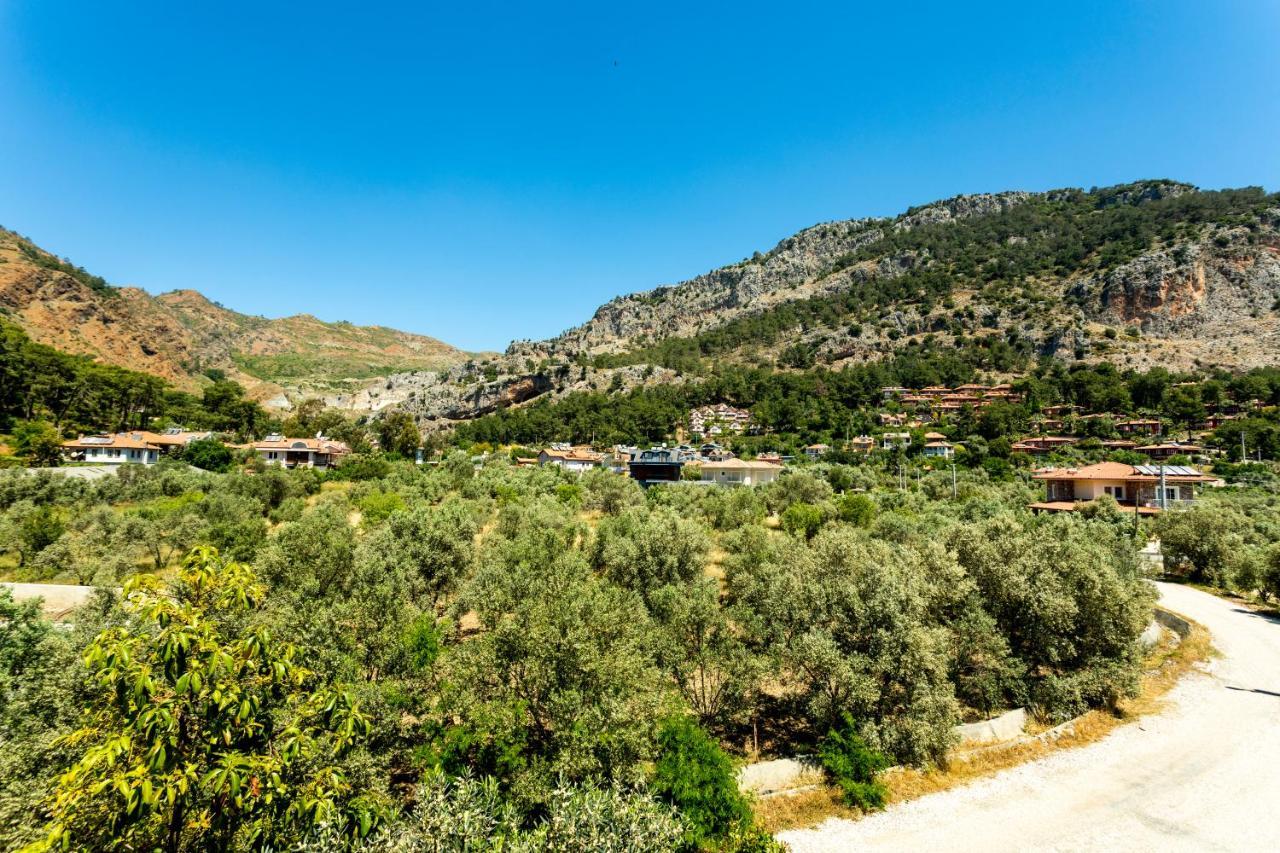 Kerem Gocek (Fethiye)