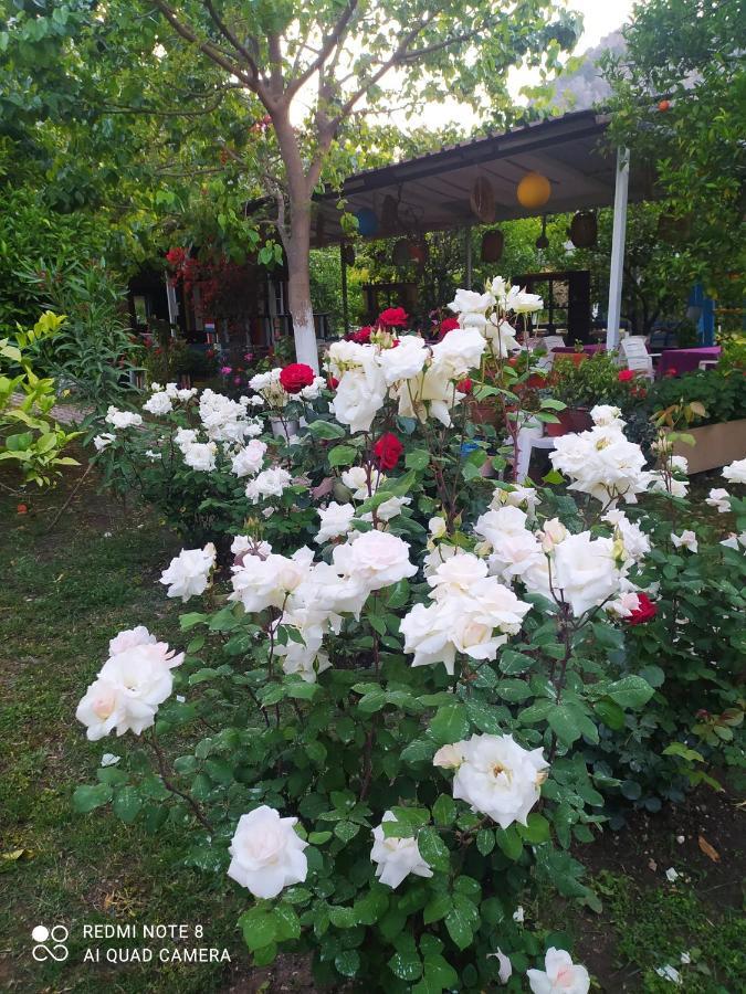 Sakli Bahce Homestay