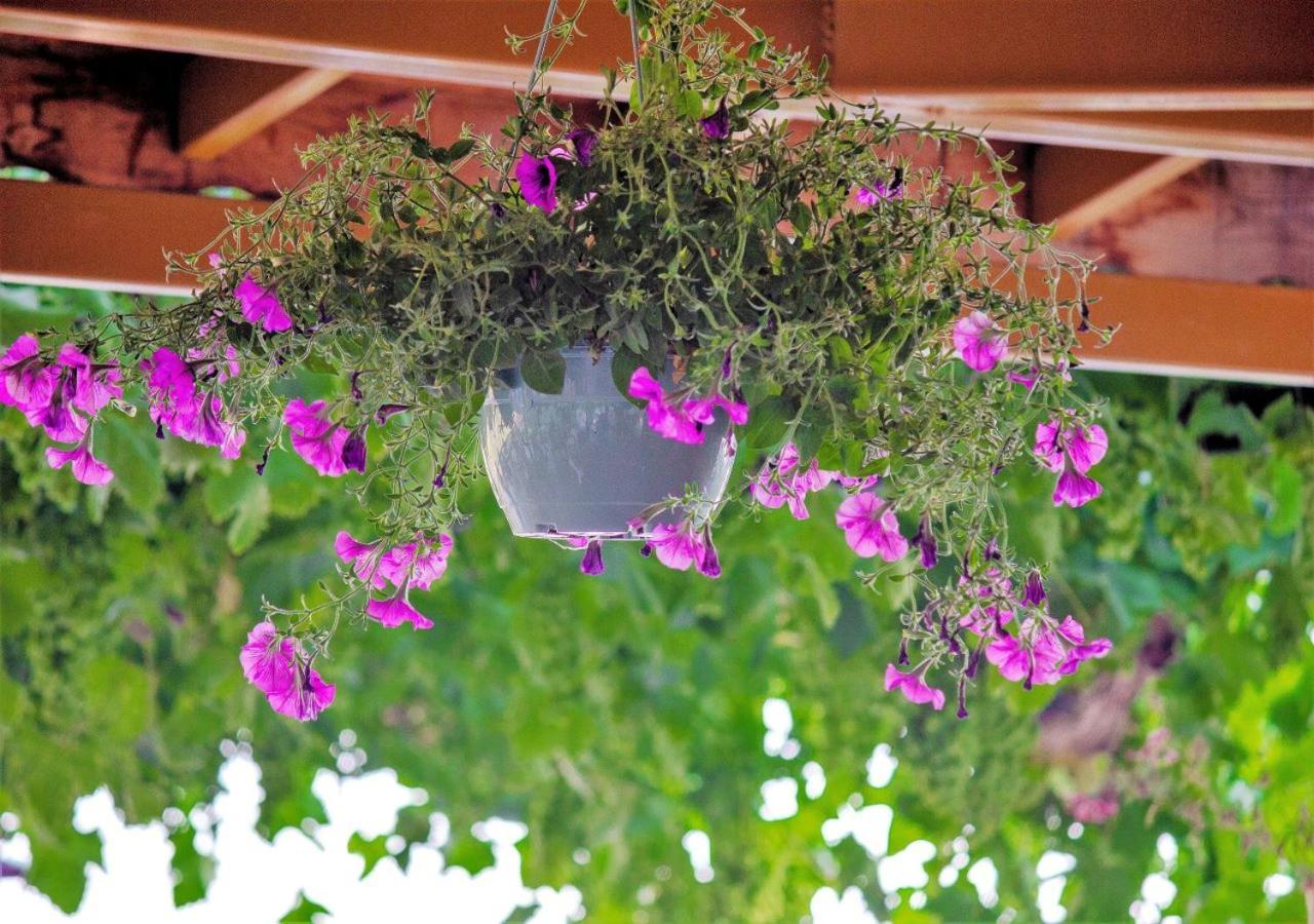 Kabak Misafir Evi Motel