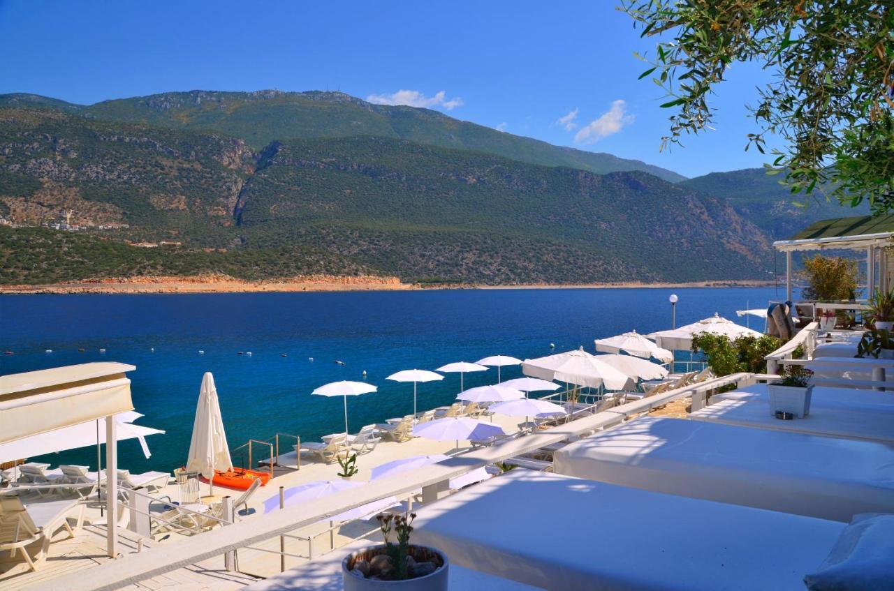 Club Capa Hotel 3*