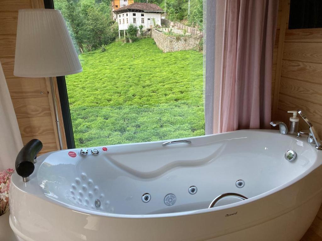 Resort Vagona Tiny House 3*