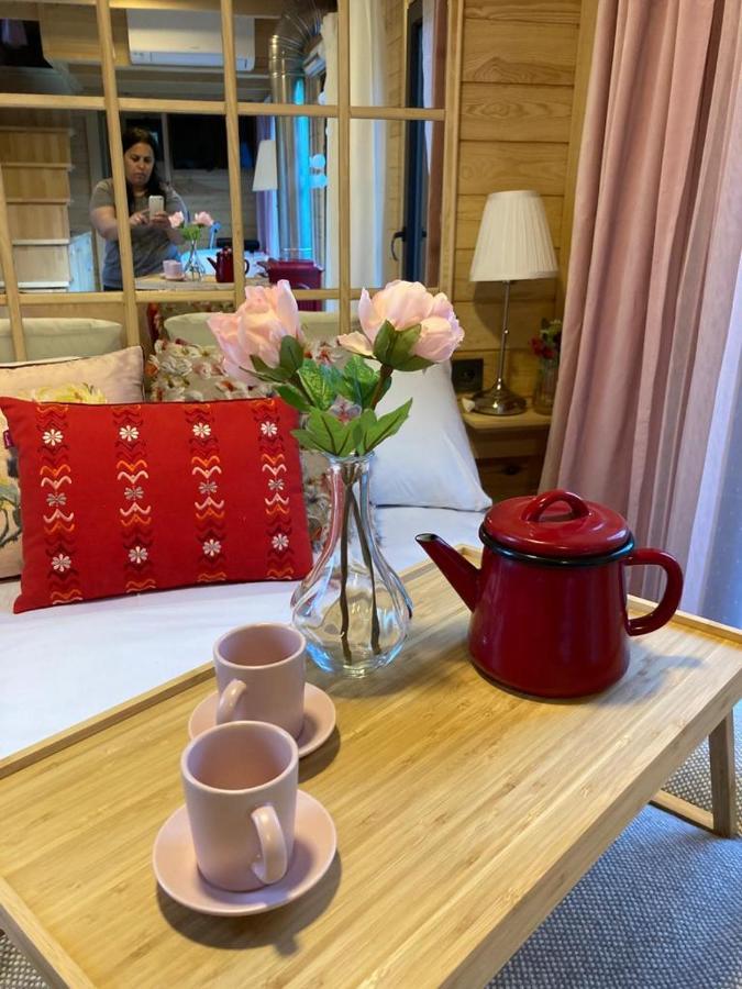 Vagona Tiny House Resort Rize