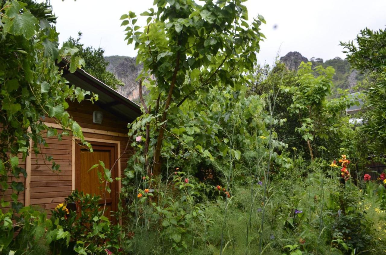 Mercan Homestay Olympos