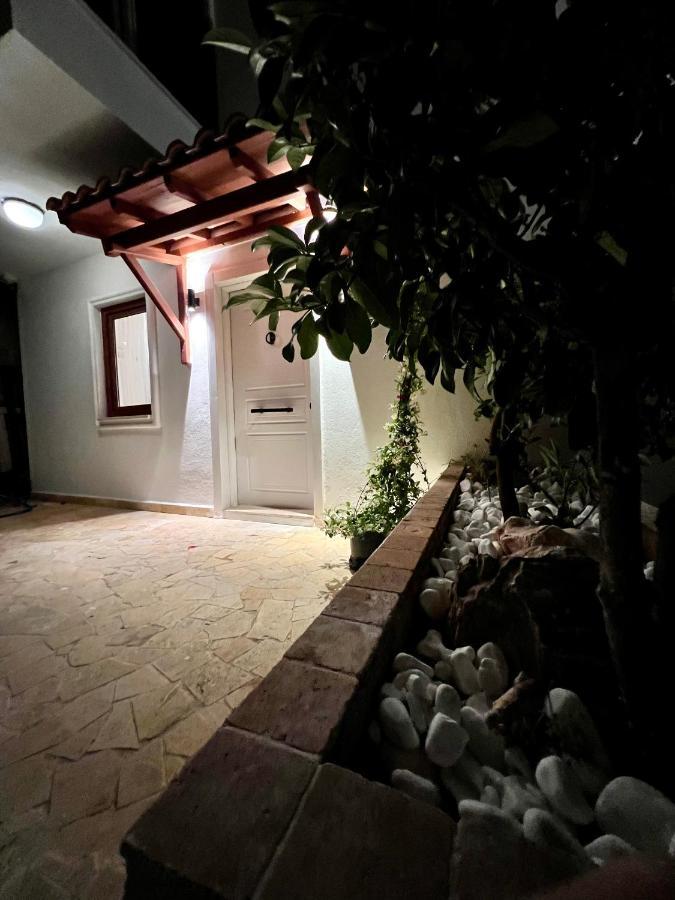 Viola - Kalkan