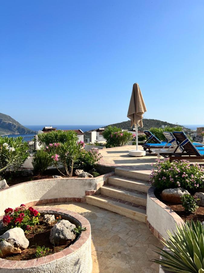 Viola - Holiday home