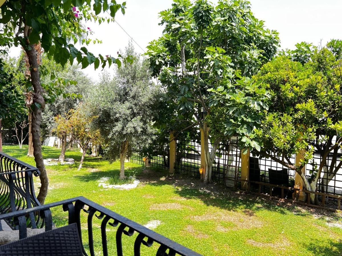 Boutique Hotel 3*