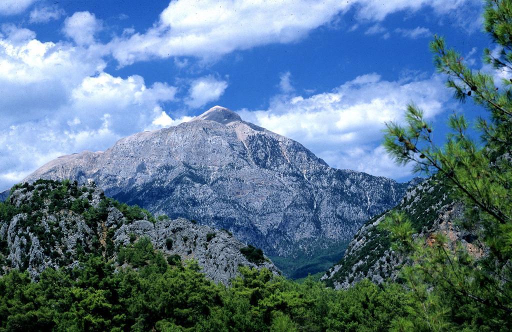 Myland Nature
