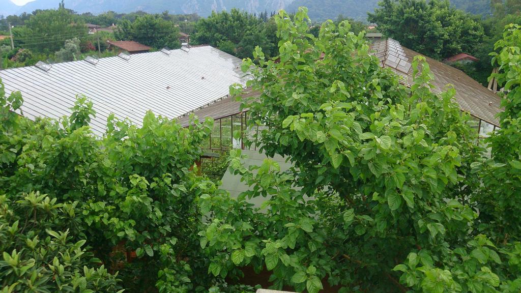 Sera Guest house