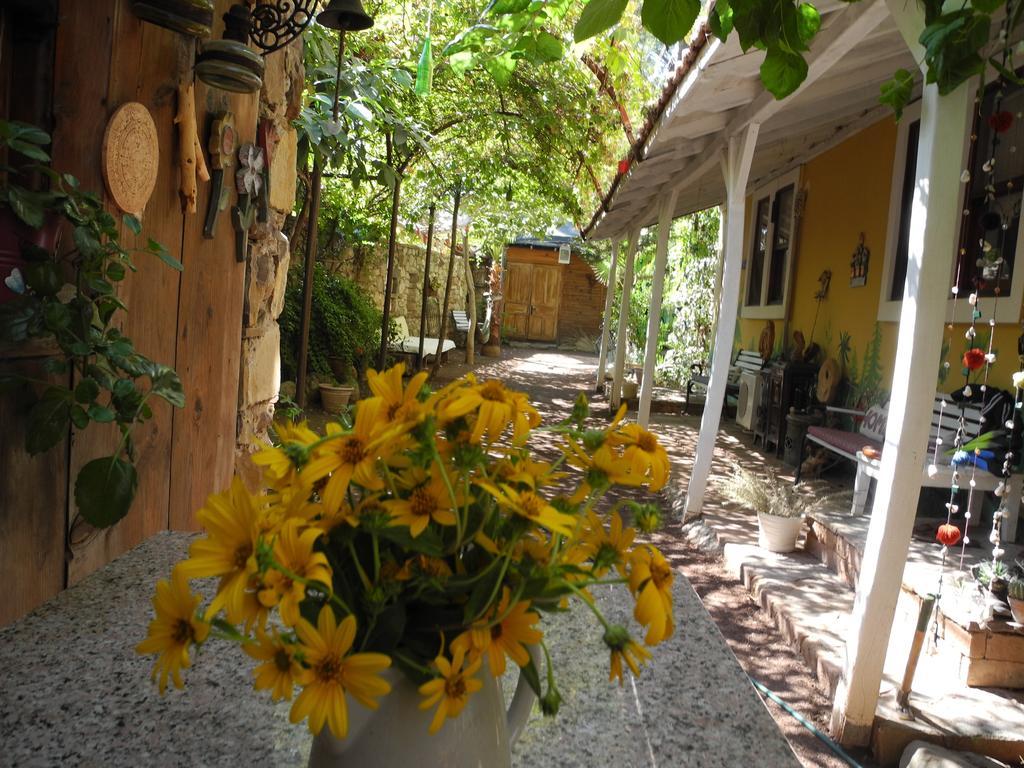 Daphne House 2*