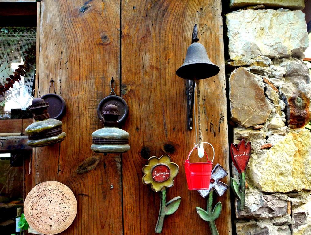 Guest house Daphne House Olympos