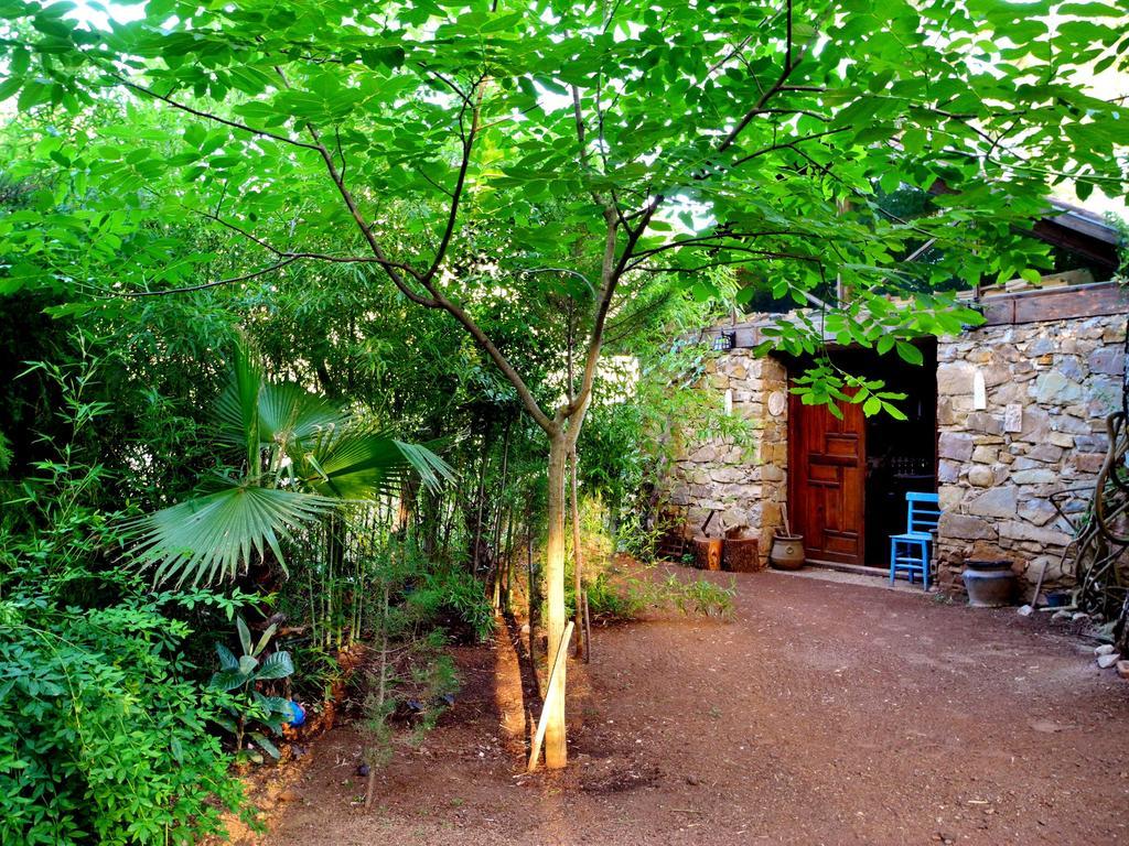 Daphne House 2* Olympos