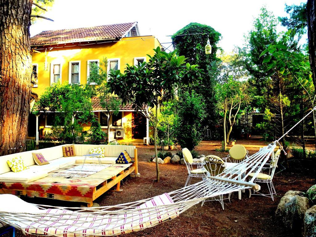 Daphne House Guest house Olympos