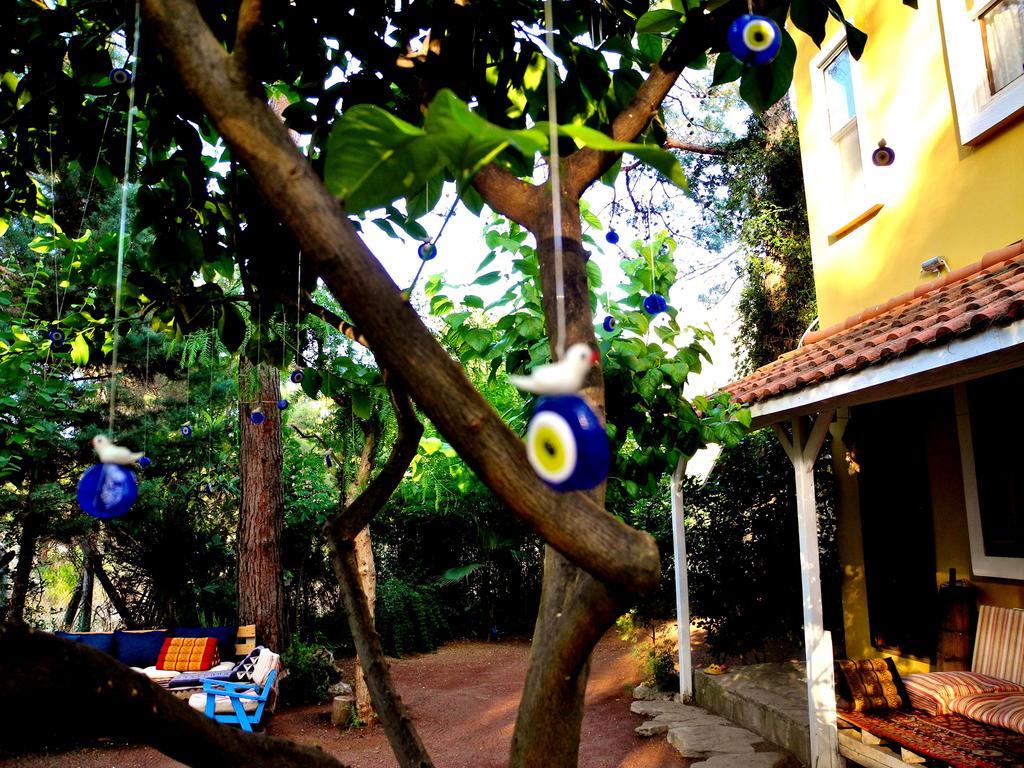 Daphne House 2*
