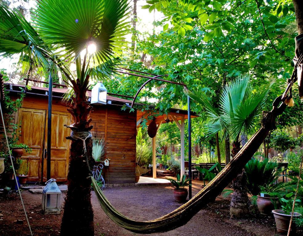 Daphne House Guest house