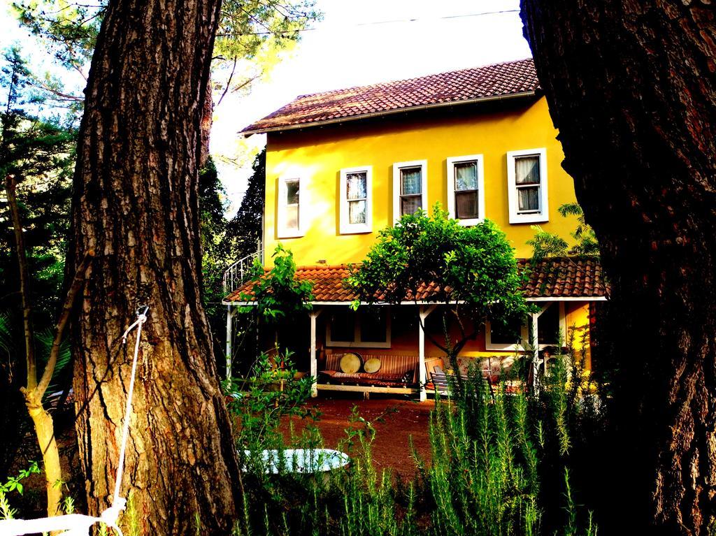Guest house Daphne House 2*