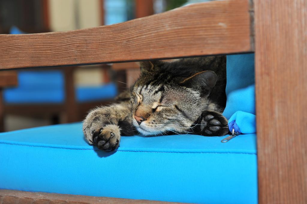 Grenadine Lodge Dalyan