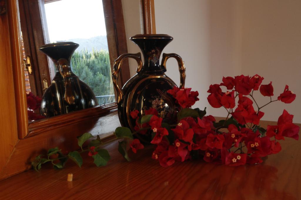 Hotel Pembe Yunus Bozburun