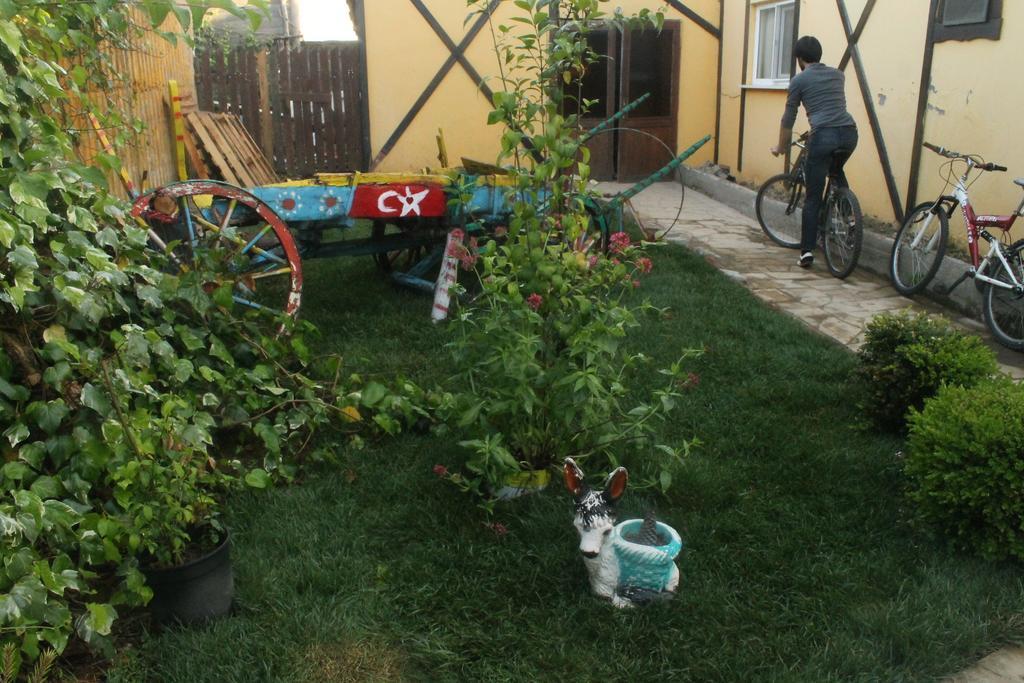 Country house Elrio
