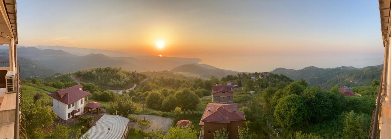 Zarha Mountain 4*
