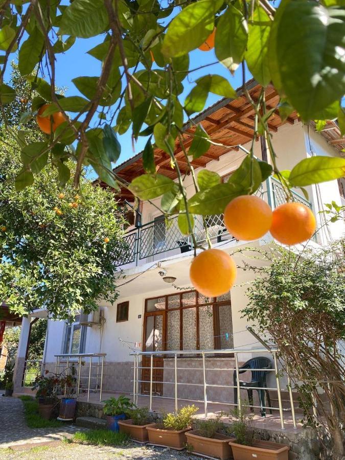 Guest house Irmak