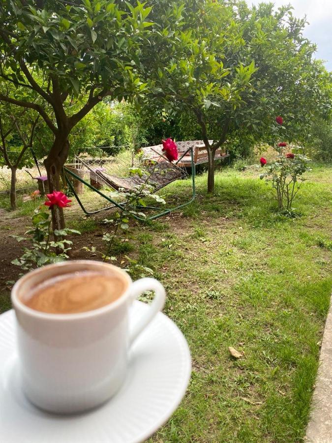 Irmak Guest house