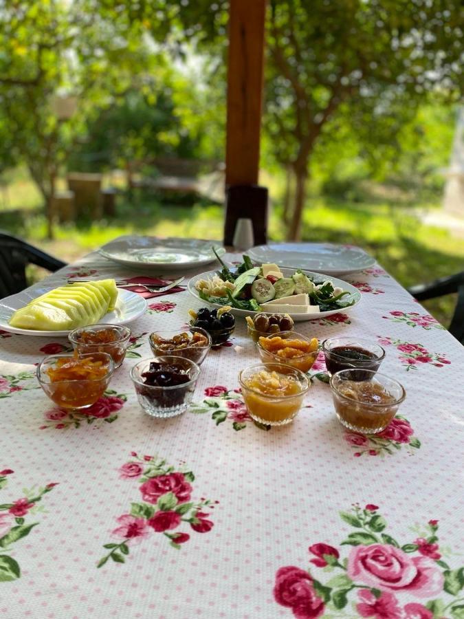 Irmak Guest house *