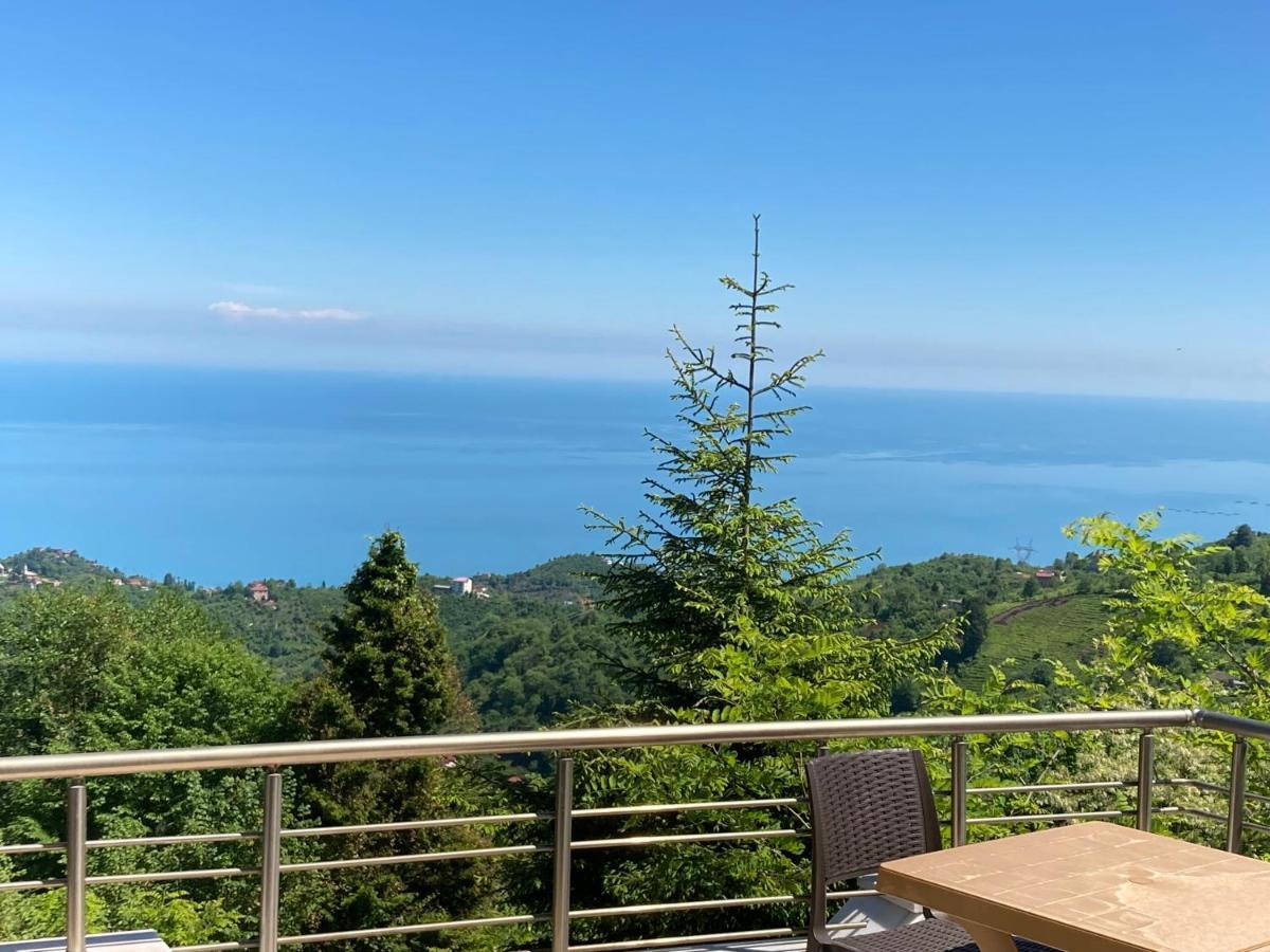 Hotel Zarha Mountain