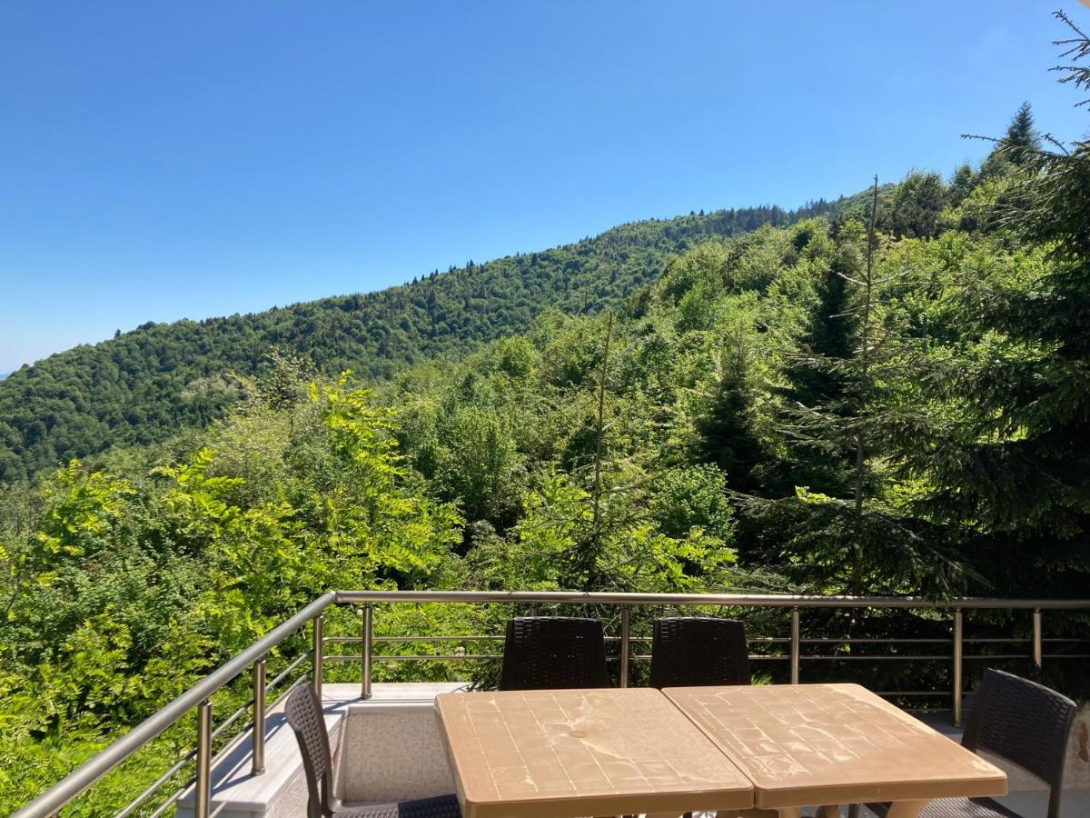 Hotel Zarha Mountain