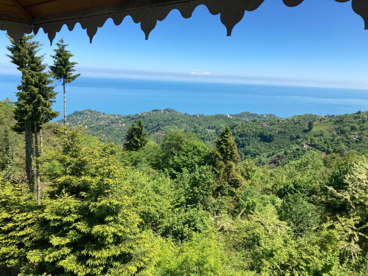Hotel Zarha Mountain
