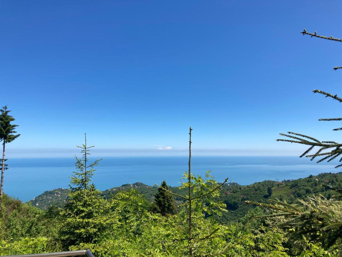 Zarha Mountain Hotel