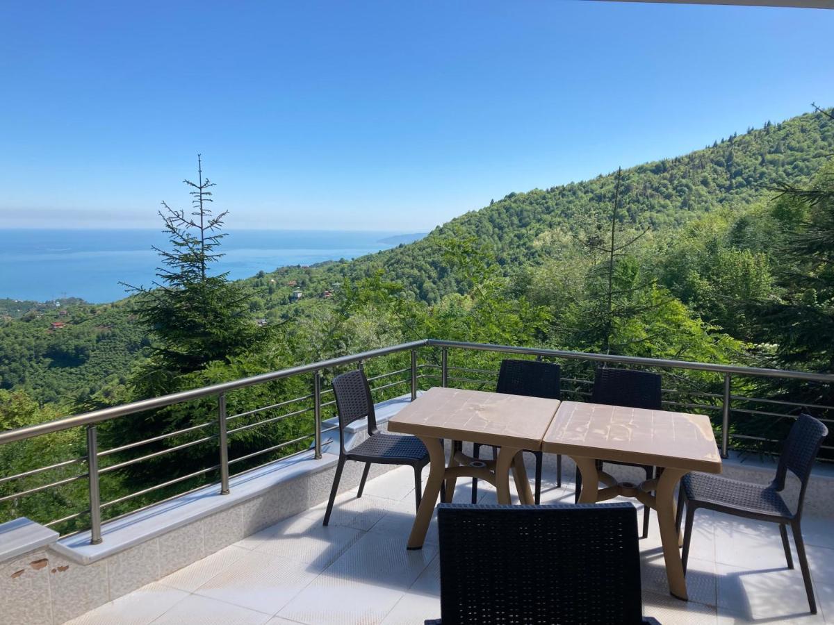 Zarha Mountain Hotel