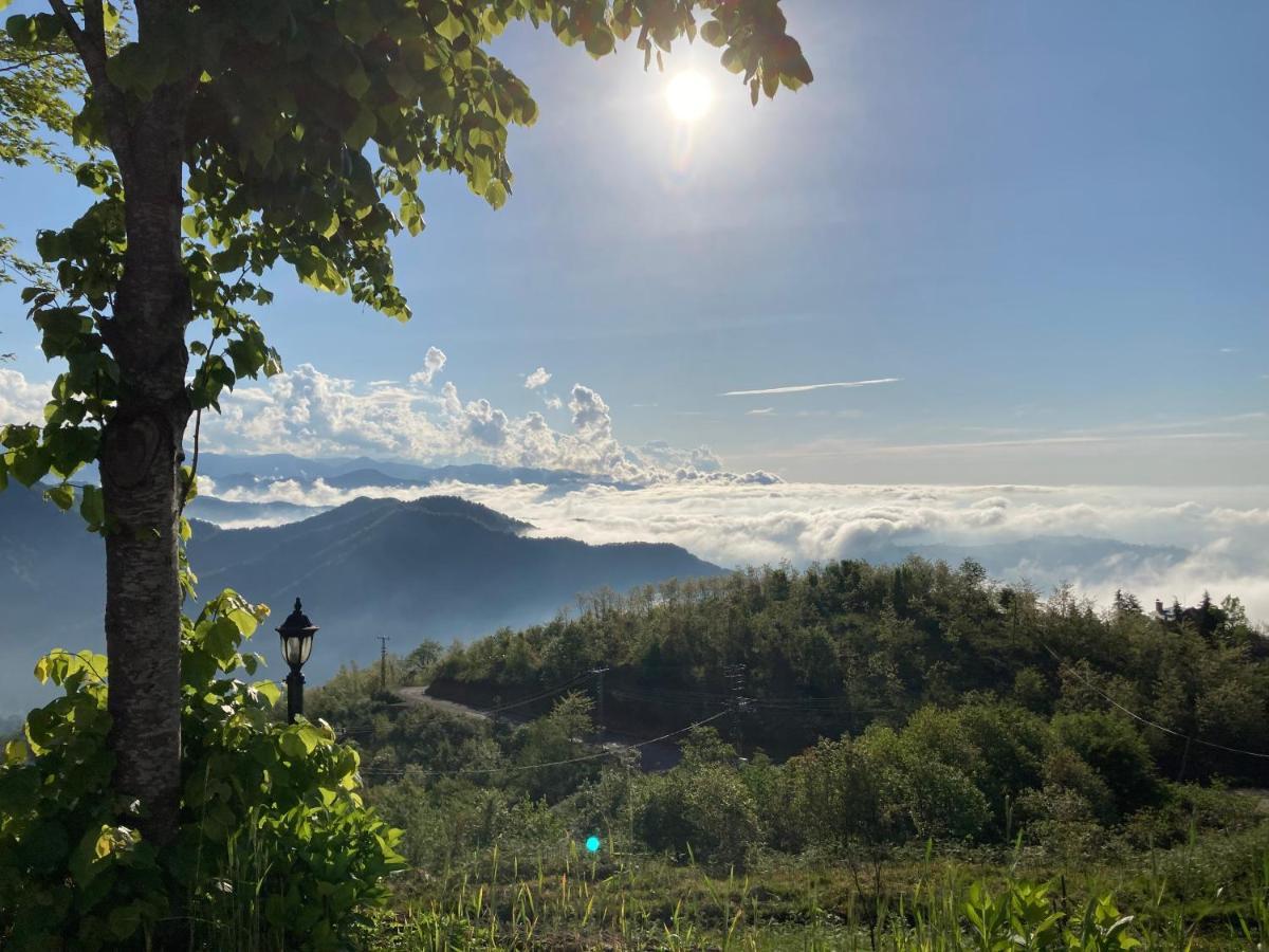 Zarha Mountain 4* Surmene