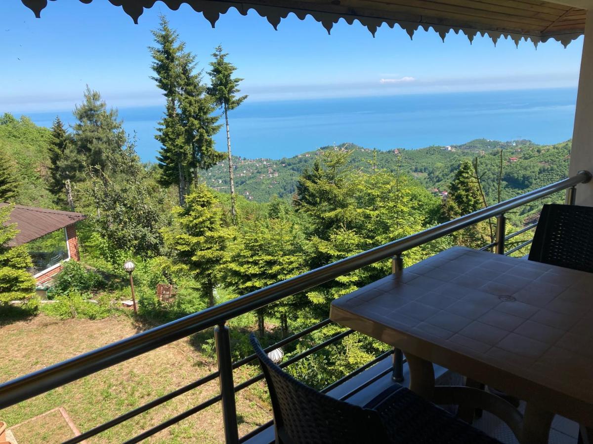 Zarha Mountain 4*