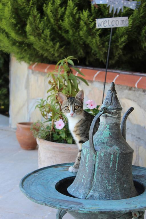 Mercan Bed & Breakfast