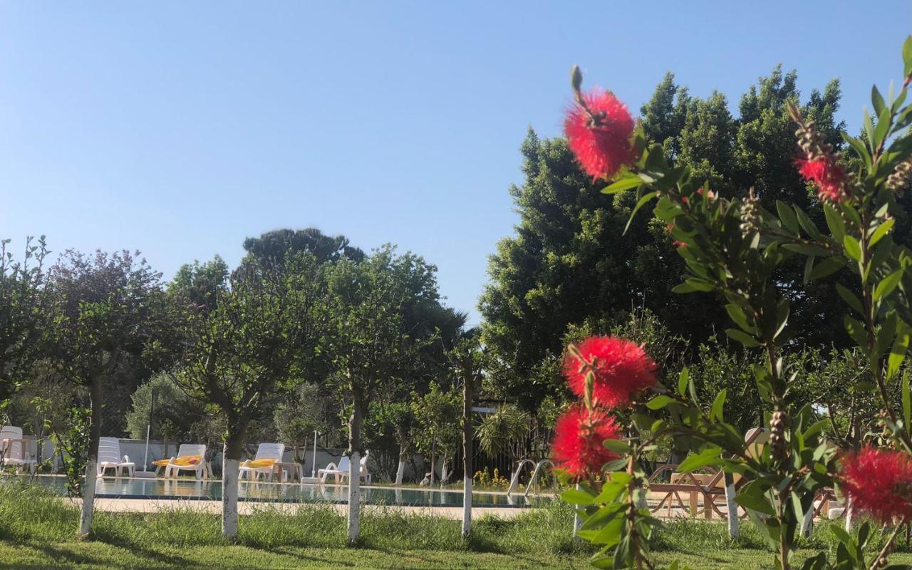 Hotel Palme 2*