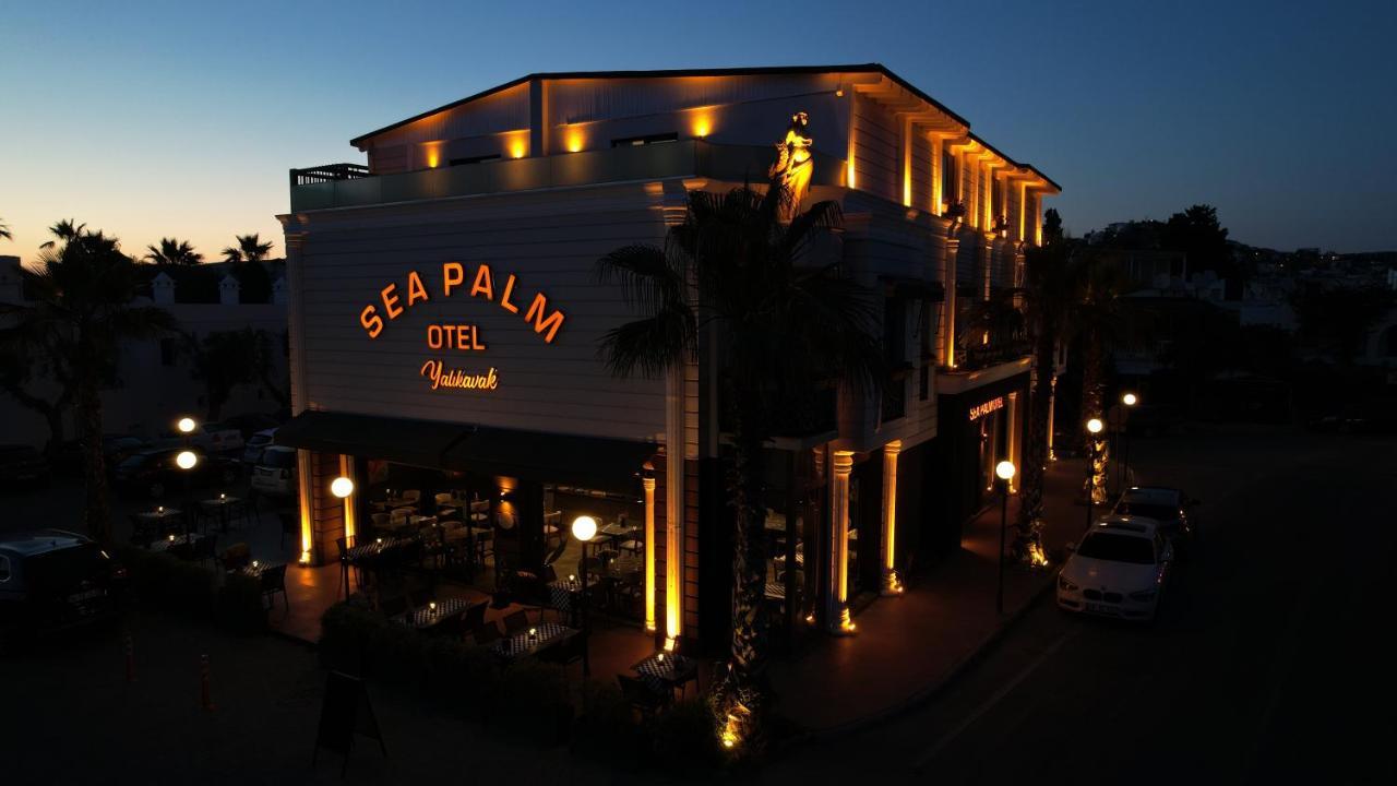 Sea Palm