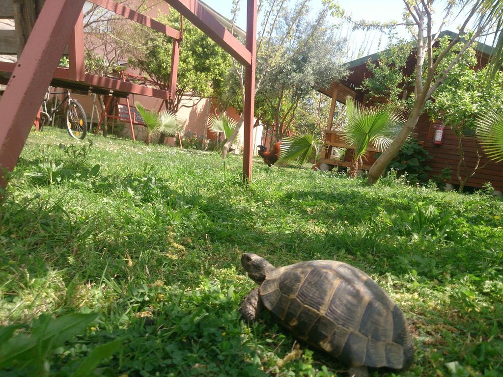 Sera Guest house Cirali