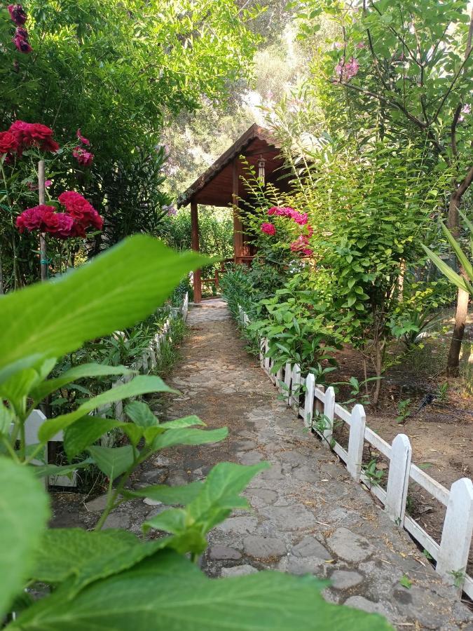 Canario Lodge